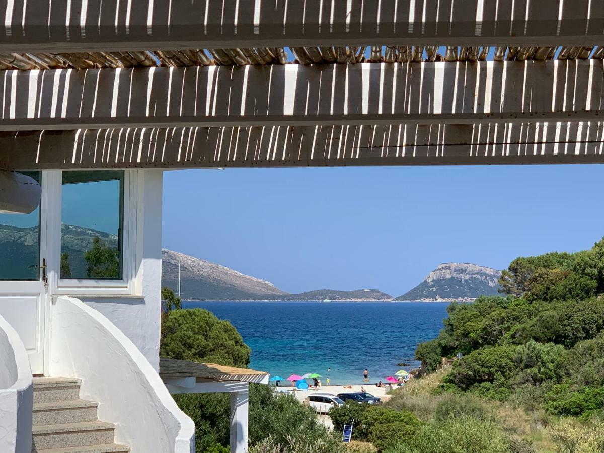 Villa Aranzos Golfo Aranci Kültér fotó