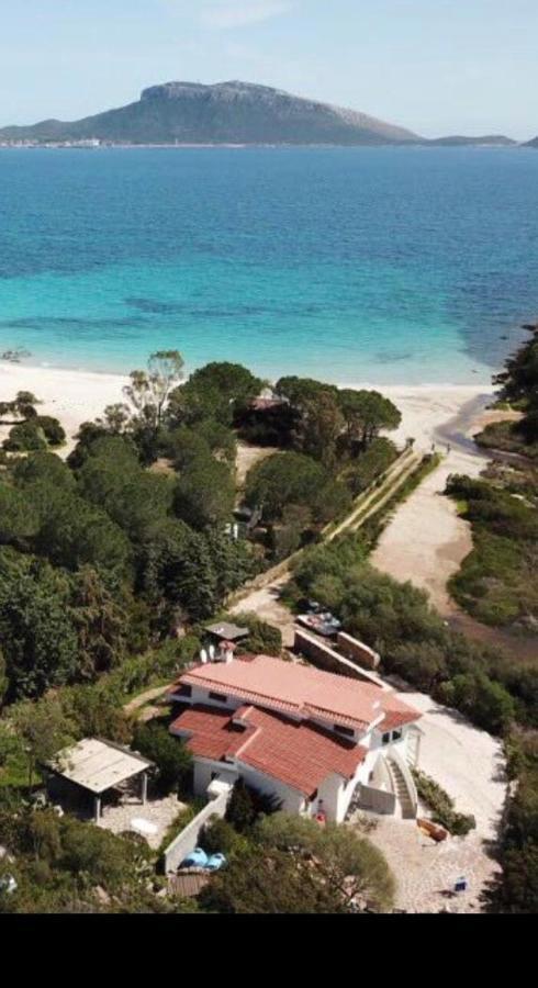 Villa Aranzos Golfo Aranci Kültér fotó