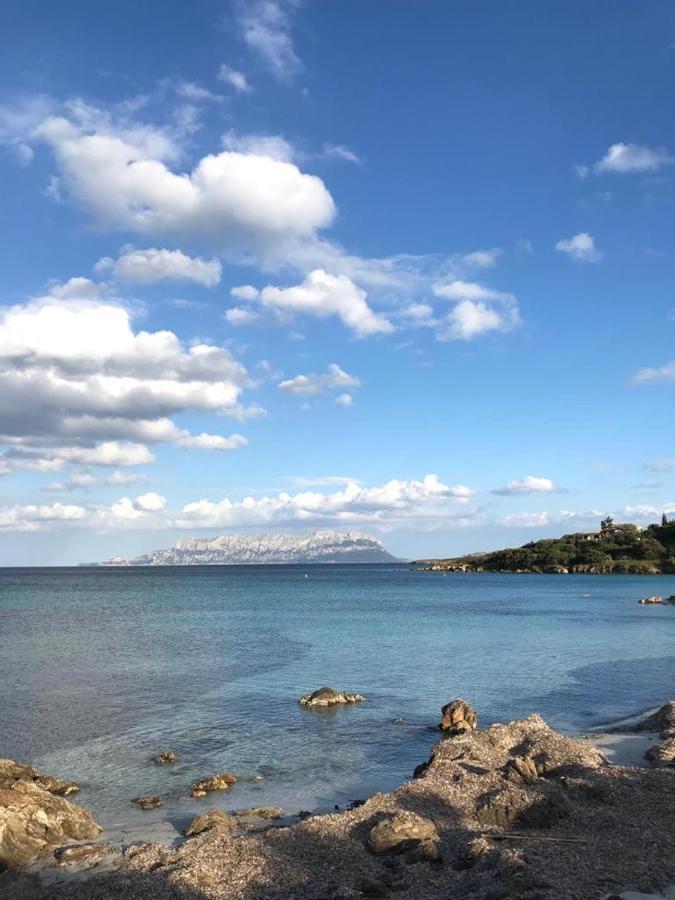 Villa Aranzos Golfo Aranci Kültér fotó